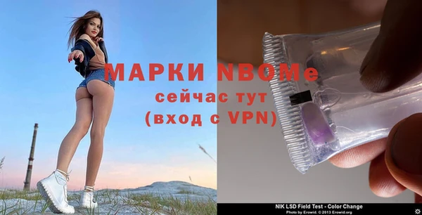 каннабис Аркадак