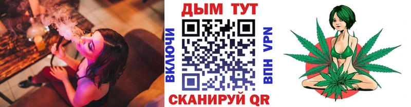 МЕГА маркетплейс  купить наркотик  Нижнеудинск  Каннабис индика 